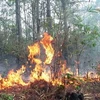 越中加强边界森林消防工作的合作